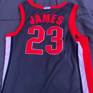 LeBron James Ohio state jersey